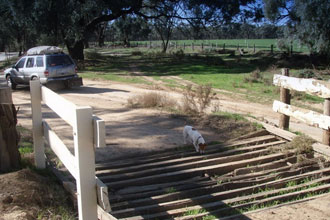 Forest drive in close proximity to the Cohuna Golf Course.