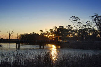 Murray River forest in close proximity to the Cohuna Golf Course.