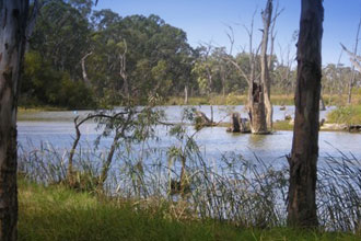 Cohuna Attractions Cohuna is central to Australia's greatest river and a host of local attractions.