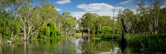 4-gunbower-creek