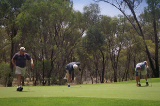 The golf course at Cohuna has extraordinary fairways and greens and is set between towering river red gums alongside the picturesque Gunbower creek on Gunbower Island.